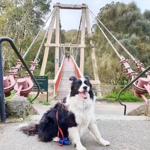 Meet your Posher, Alexander